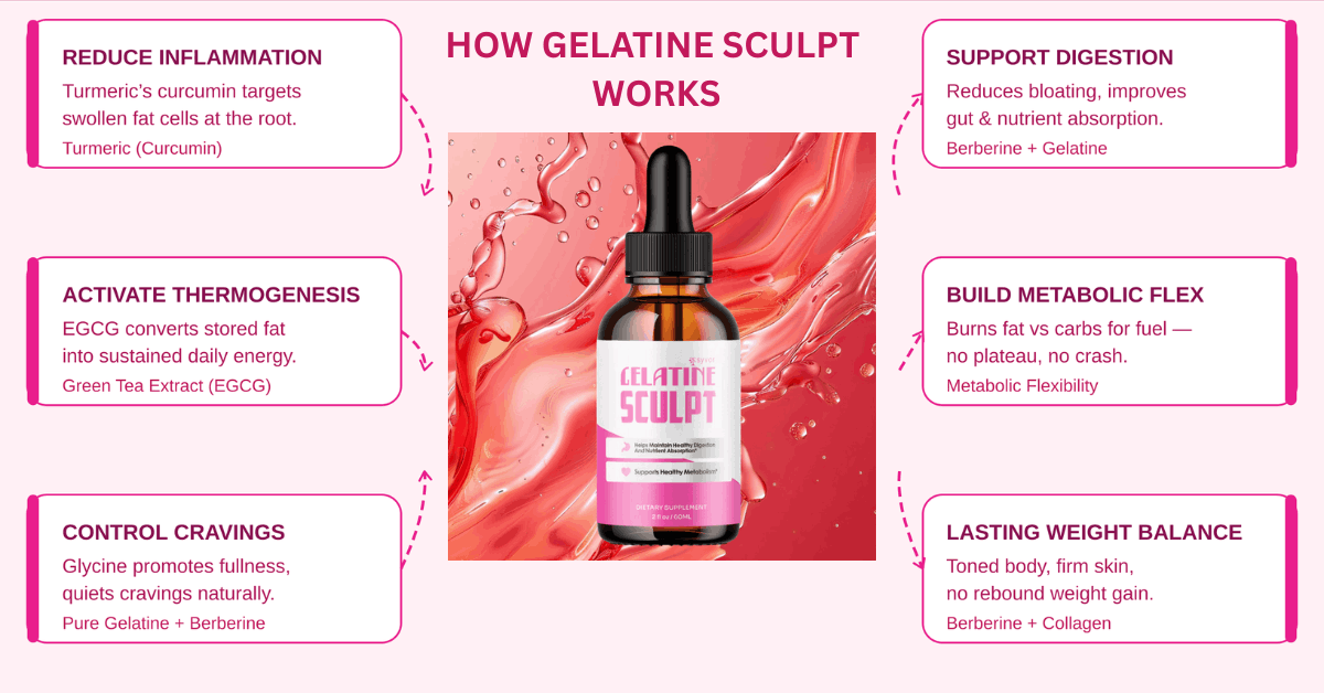 Gelatine Sculpt: How it works